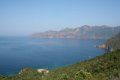 IMG_0375