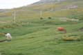 IMG_0118_2