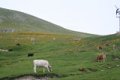 IMG_0120_2