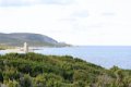 IMG_0175