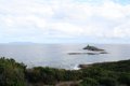 IMG_0184