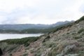 IMG_0219