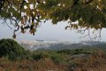 IMG_0057_2