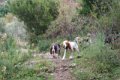IMG_0159_2