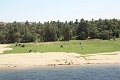 IMG_0457
