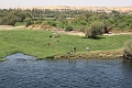 IMG_0474