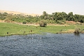 IMG_0477