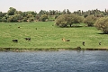 IMG_0483