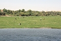IMG_0487