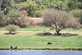 IMG_0504