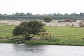 IMG_1285
