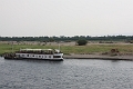 IMG_1286