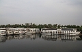 IMG_1361
