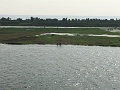 IMG_3440
