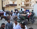 CALECHE DANS LOUXOR ET SOUK