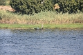 IMG_0189