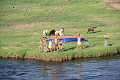IMG_0275
