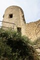 IMG_7561