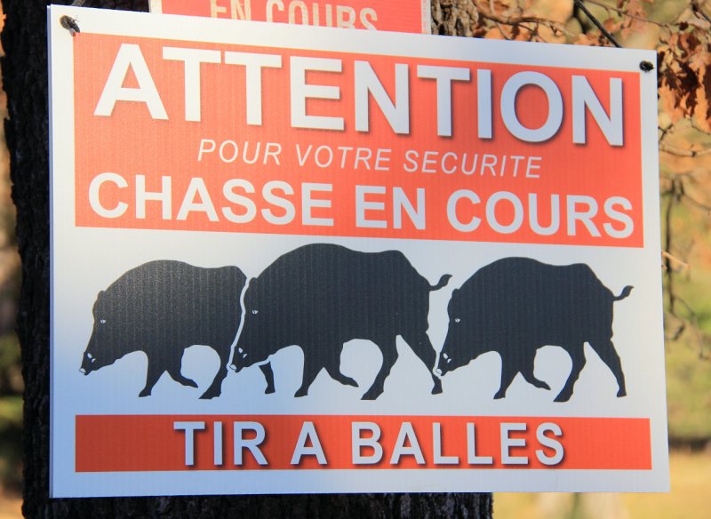 IMG_2474.JPG - UNE CHASSE EST EN COURS / PRUDENCE !!!!!