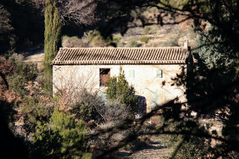 IMG_2656.JPG - AUTRE VUE SUR LA PETITE HABITATION 