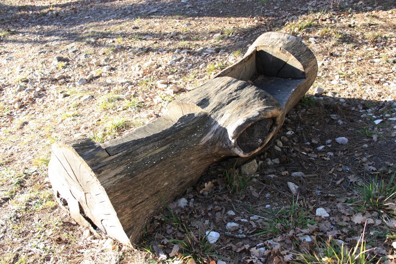 IMG_2679.JPG - UN BANC TAILLE DANS UN TRONC 