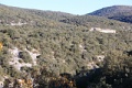 IMG_0503