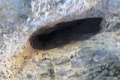 IMG_0588