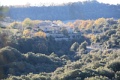 IMG_0657