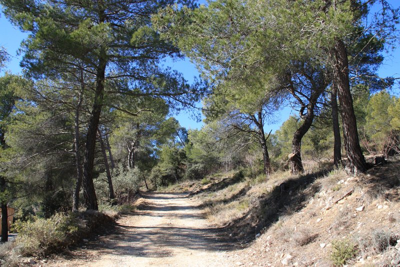 IMG_5172.JPG - LE CHEMIN DE DEPART EST AGREABLE
