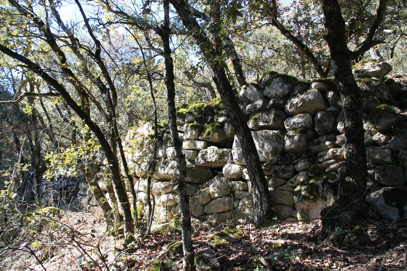 IMG_5192.JPG - SUR CE SENTIER ... DE BEAUX MURS .
