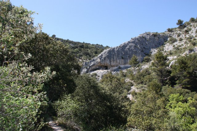 IMG_9398.JPG