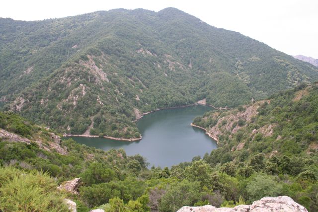 TOLLA