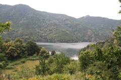 TOLLA