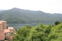 TOLLA