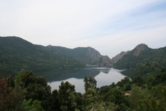 TOLLA