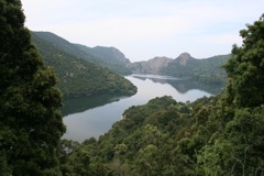 TOLLA