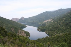 TOLLA