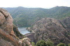 TOLLA