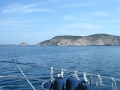 DSCN8767
