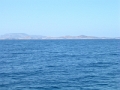 DSCN8768
