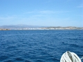 DSCN8772