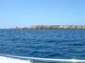 DSCN8773