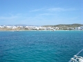 DSCN8778