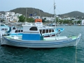 DSCN8703