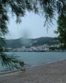 DSCN8706