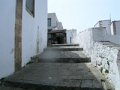 DSCN8729