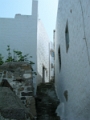 DSCN8731