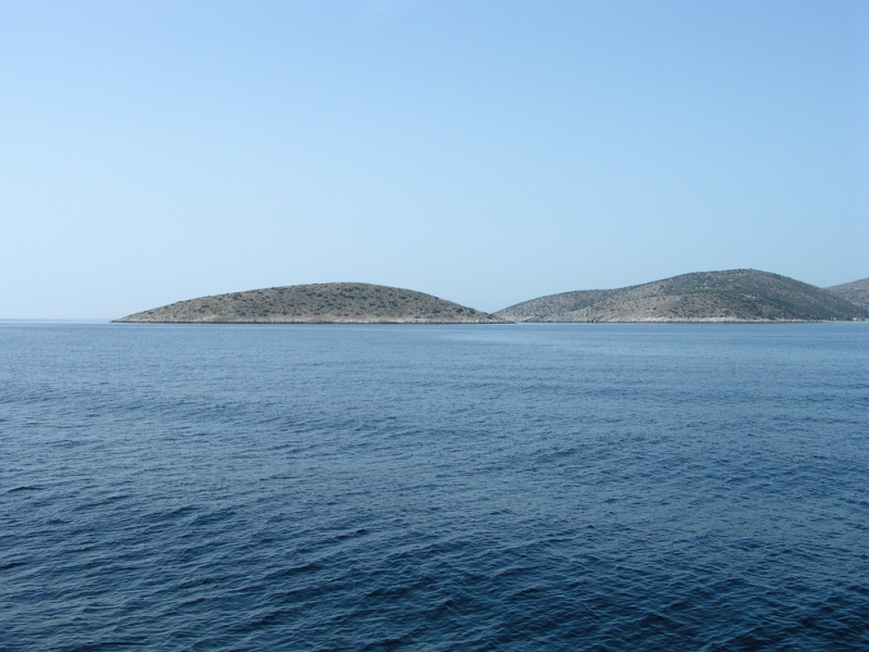 DSCN8786.JPG