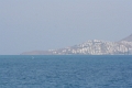 IMG_0352