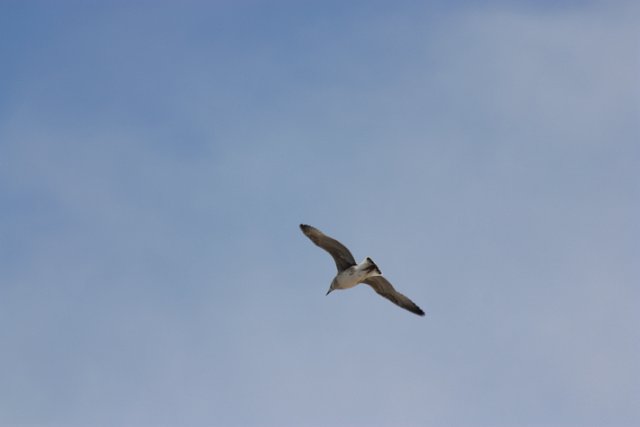 IMG_3210.JPG
